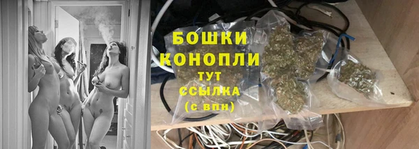 мдпв Богородицк