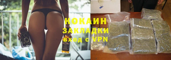 ГАЛЛЮЦИНОГЕННЫЕ ГРИБЫ Богданович