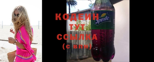 ГАЛЛЮЦИНОГЕННЫЕ ГРИБЫ Богданович