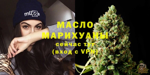 мдпв Богородицк