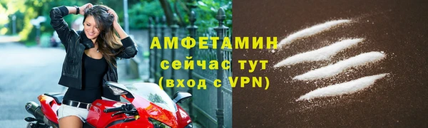 ГАЛЛЮЦИНОГЕННЫЕ ГРИБЫ Богданович